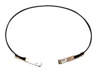 Cisco 40GBASE-CR4 Passive Copper Cable - Câble d'attache direct 40GBase-CR4 - QSFP pour QSFP - 50 cm - passif - remanufacturé - pour Nexus 93108TC-EX, 93180YC-FX, 9336C-FX2, 9372PX-E QSFP-H40G-CU05M-RF
